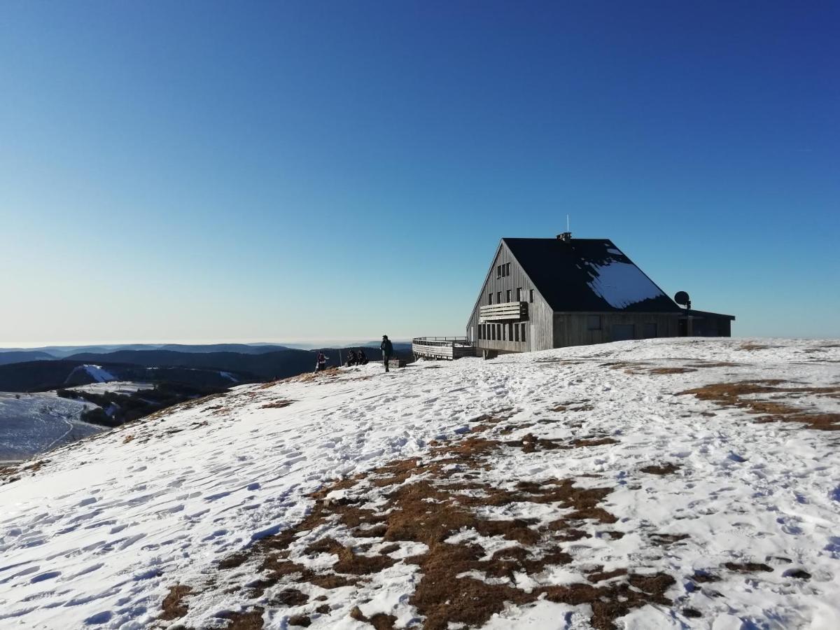 Appartamento Hameau Des Chaumes Vue Panoramique La Bresse Esterno foto